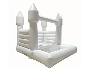 Inflatable Bounce